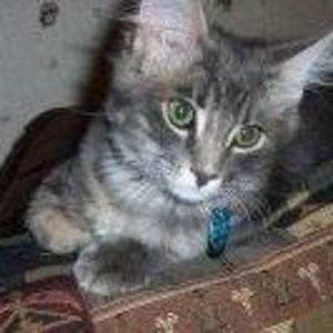 Meet your Posher, Pam